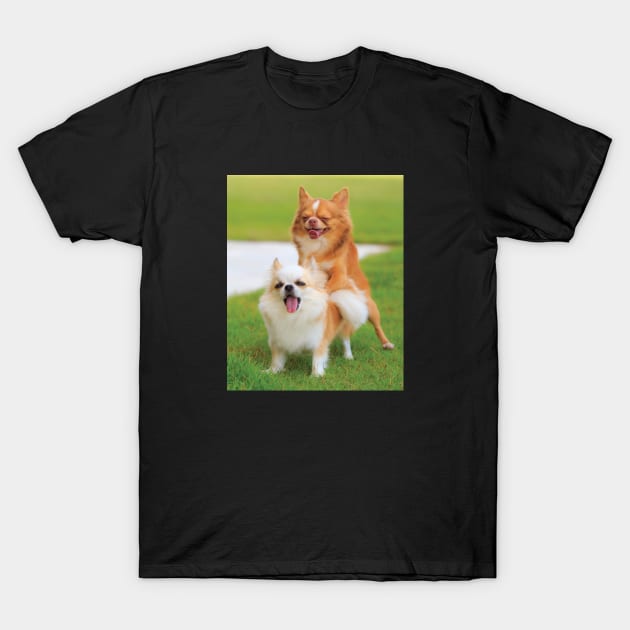 Funny Humping Chihuahua Dogs Gag Gift Prank for Dog & Animal Lovers T-Shirt by twizzler3b